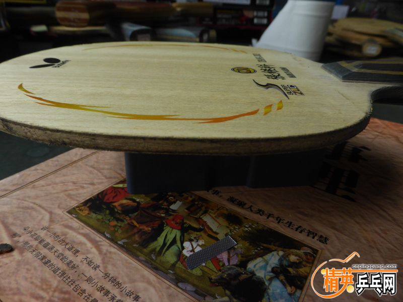 P1040307 (800x600).jpg