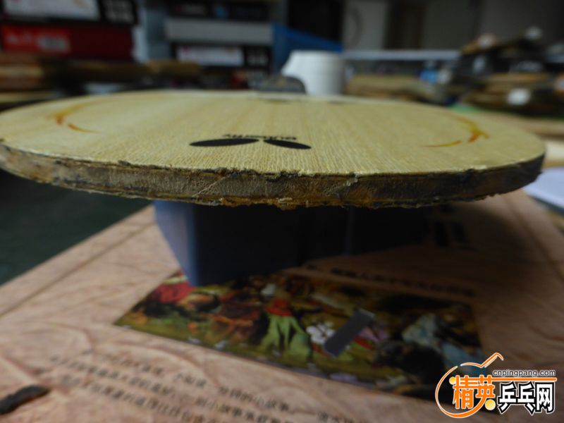 P1040308 (800x600).jpg