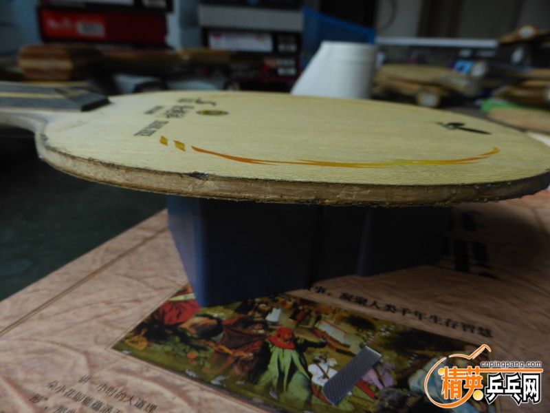 P1040309 (800x600).jpg