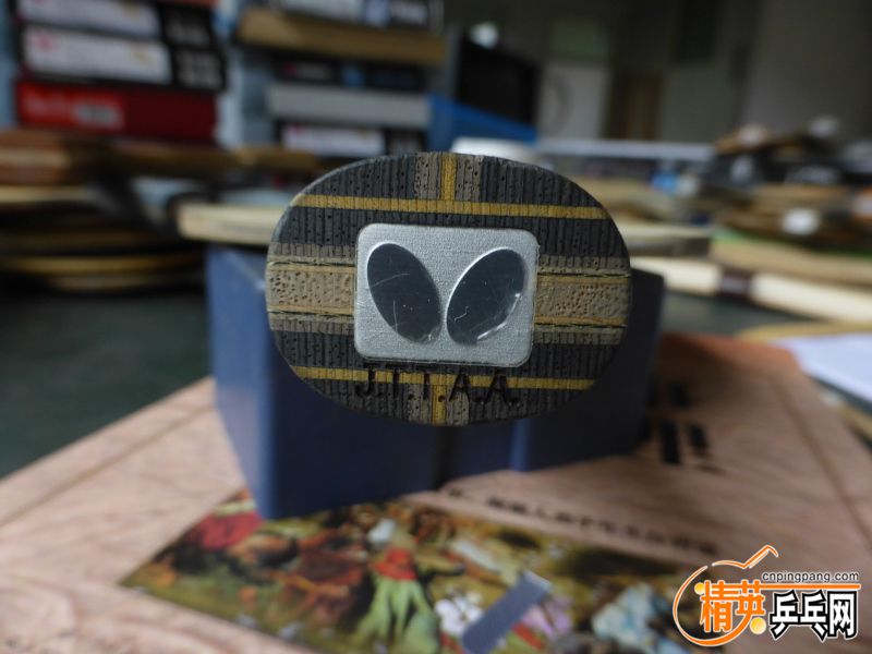 P1040310 (800x600).jpg