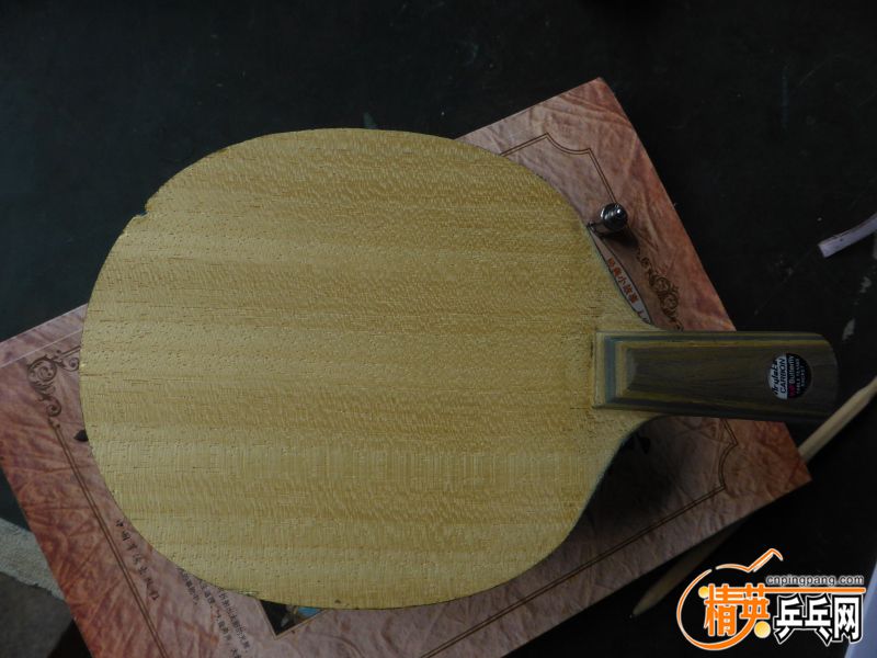 P1040325 (800x600).jpg