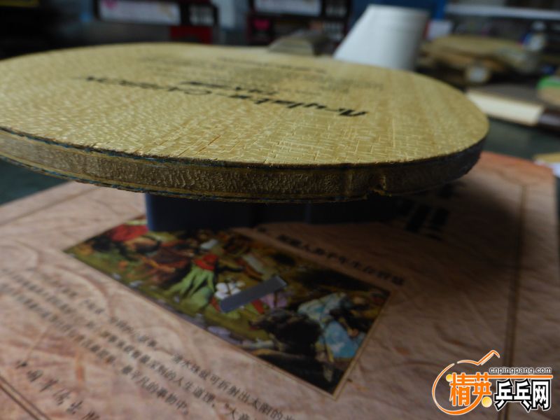 P1040327 (800x600).jpg