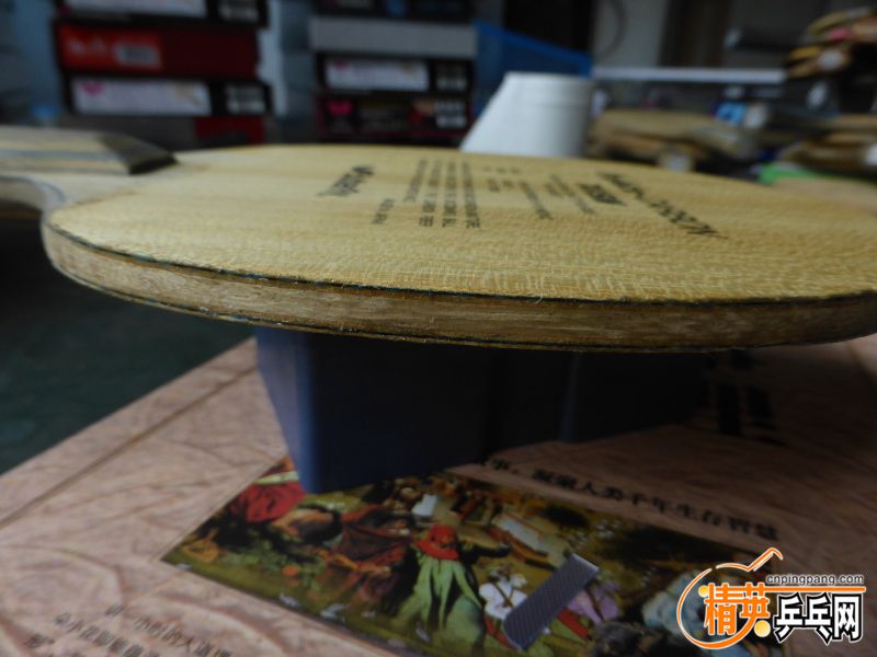 P1040328 (800x600).jpg