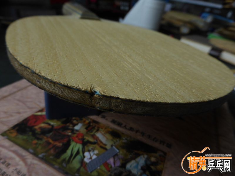 P1040330 (800x600).jpg