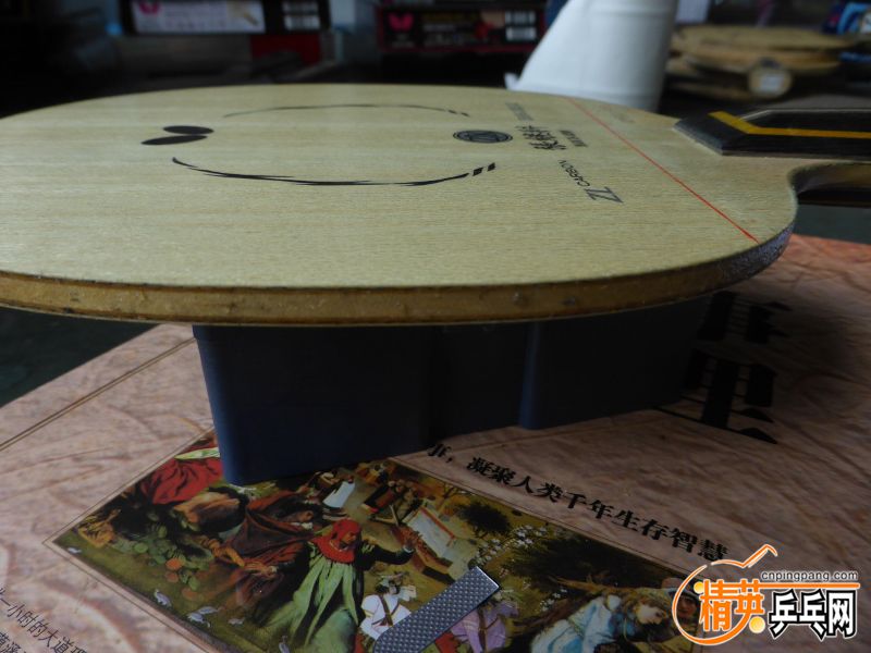 P1040392 (800x600).jpg