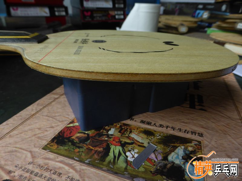 P1040394 (800x600).jpg