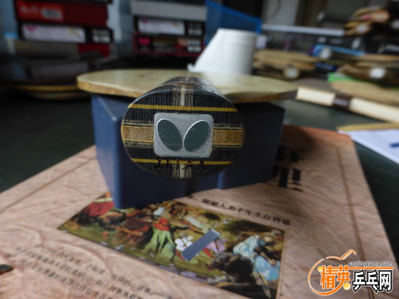 P1040395 (800x600).jpg