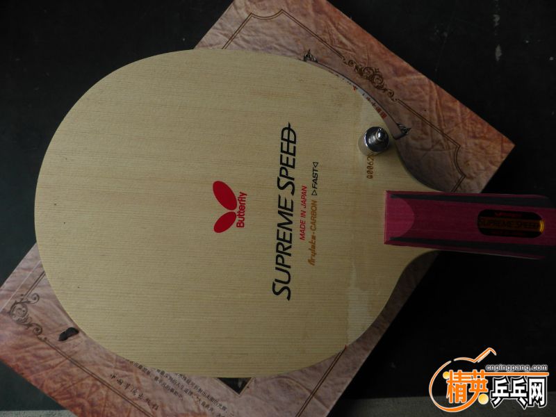 P1040396 (800x600).jpg