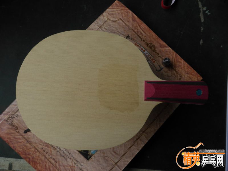 P1040397 (800x600).jpg