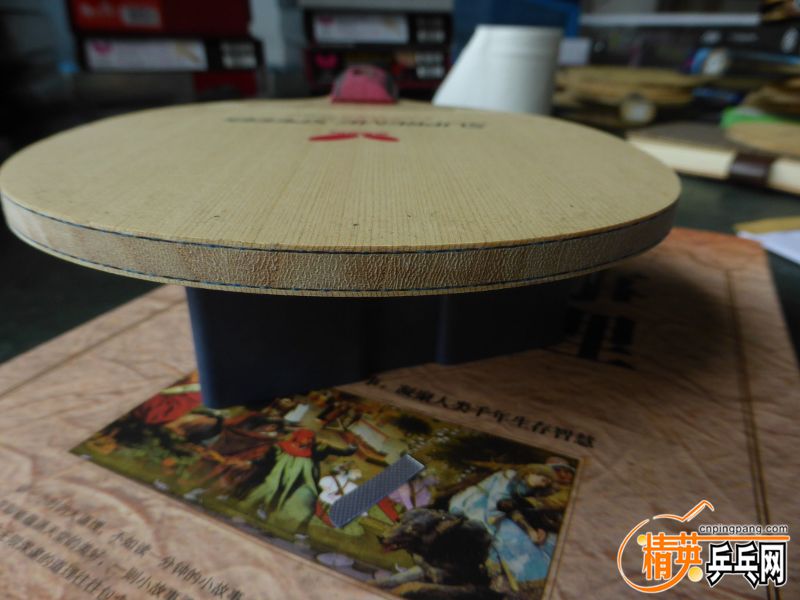 P1040399 (800x600).jpg