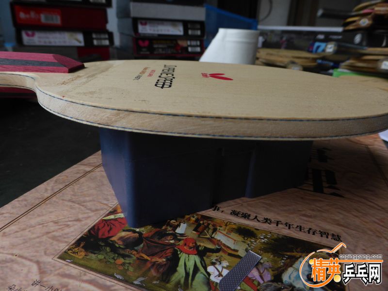 P1040400 (800x600).jpg