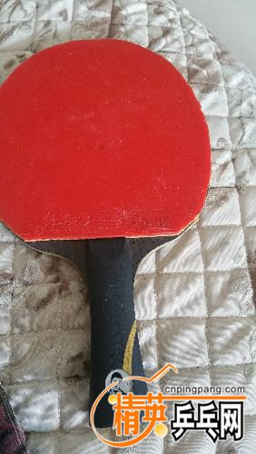 20170730_113210.jpg