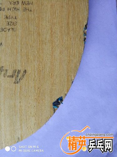 IMG_20170719_112024.jpg