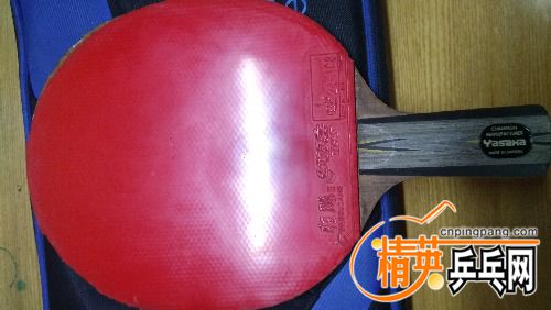 IMG_20170801_181157.jpg