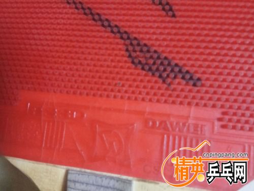 IMG_20170801_205357_HHT.jpg