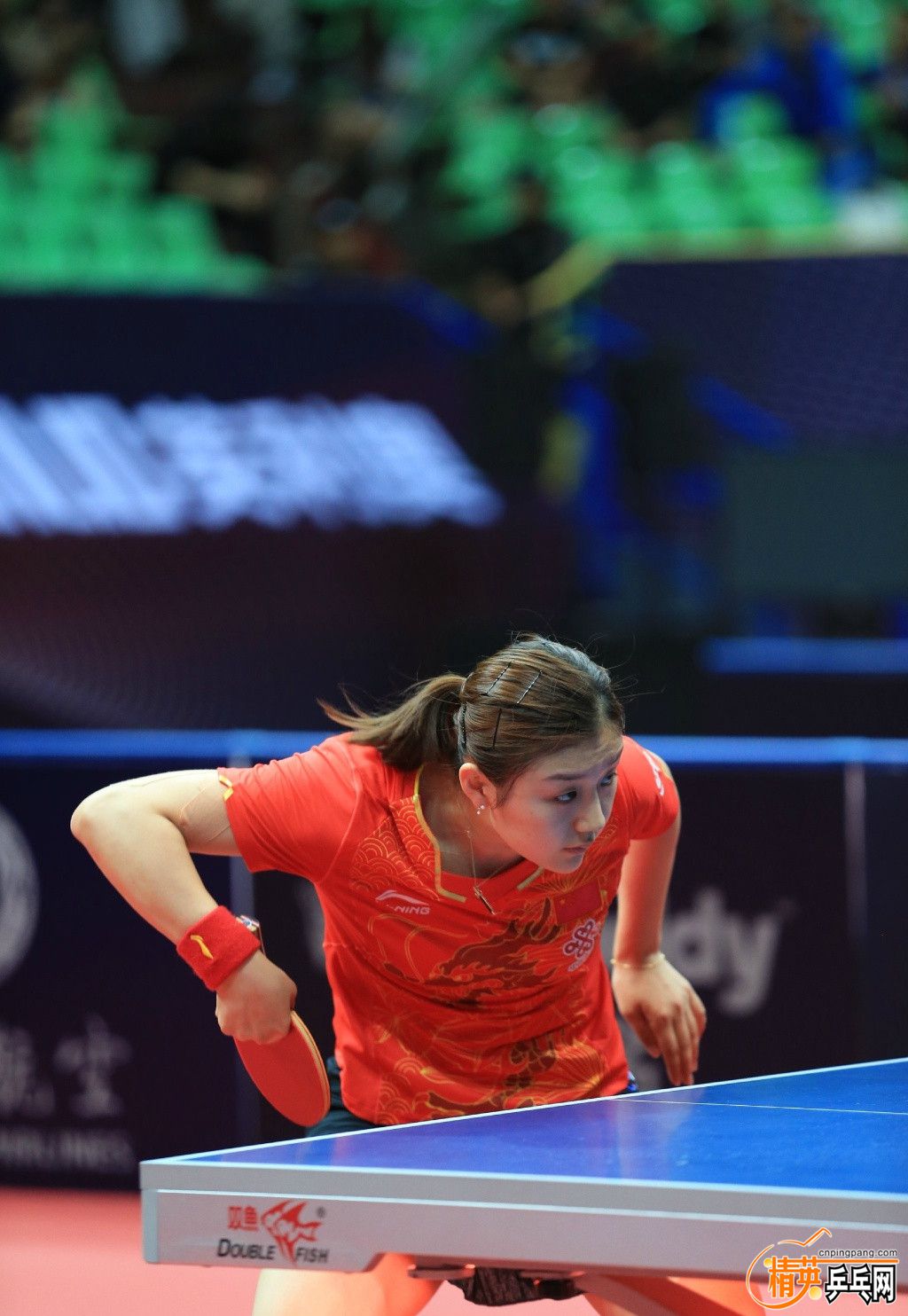 ˹�ۿ� ����.jpg