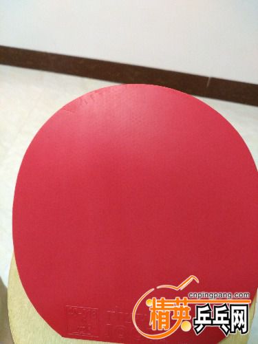 IMG_20170801_232413.jpg
