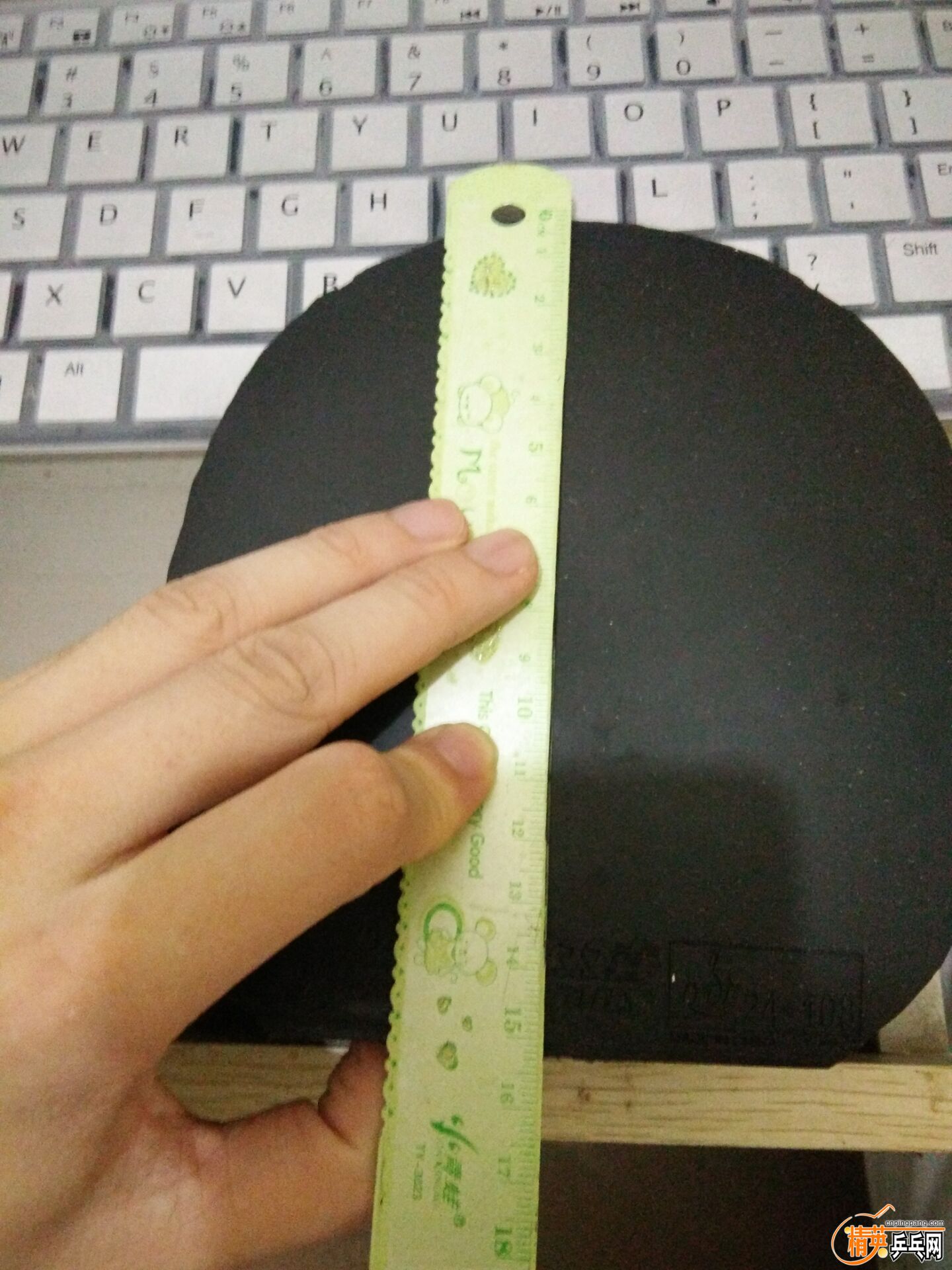 3648ADEAA67185BDC1C6DB07EFC628CB.jpg
