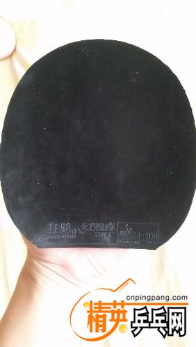 20170806_113423.jpg