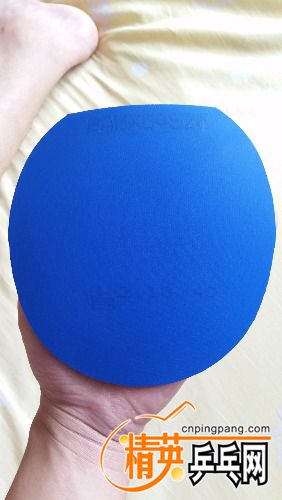 20170806_113015.jpg