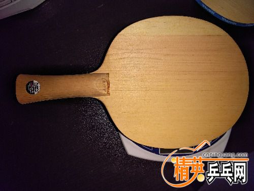 IMG_20170807_144237.jpg