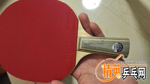 IMG_20170805_224004.jpg