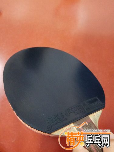 IMG_20170624_165508.jpg