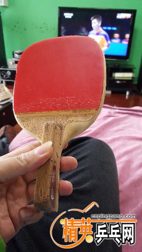 20170409_132338.jpg