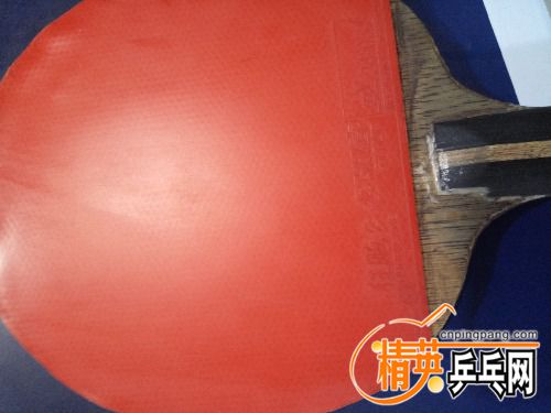 IMG_20170802_212307.jpg