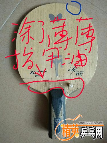IMG_20170809_132654.jpg
