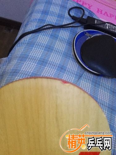 IMG_20170813_105039.jpg