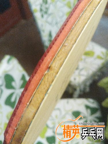 IMG_20170807_184110.jpg
