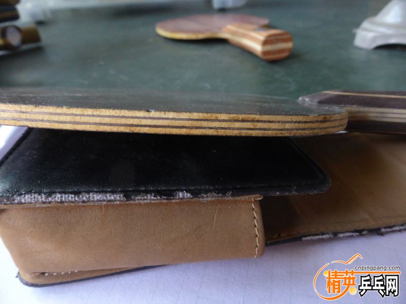 P1040425 (800x600) (2).jpg