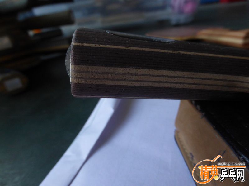 P1040429 (800x600) (2).jpg