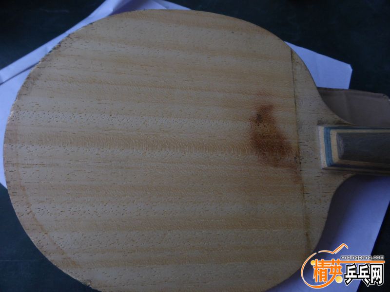 P1040432 (800x600) (2).jpg