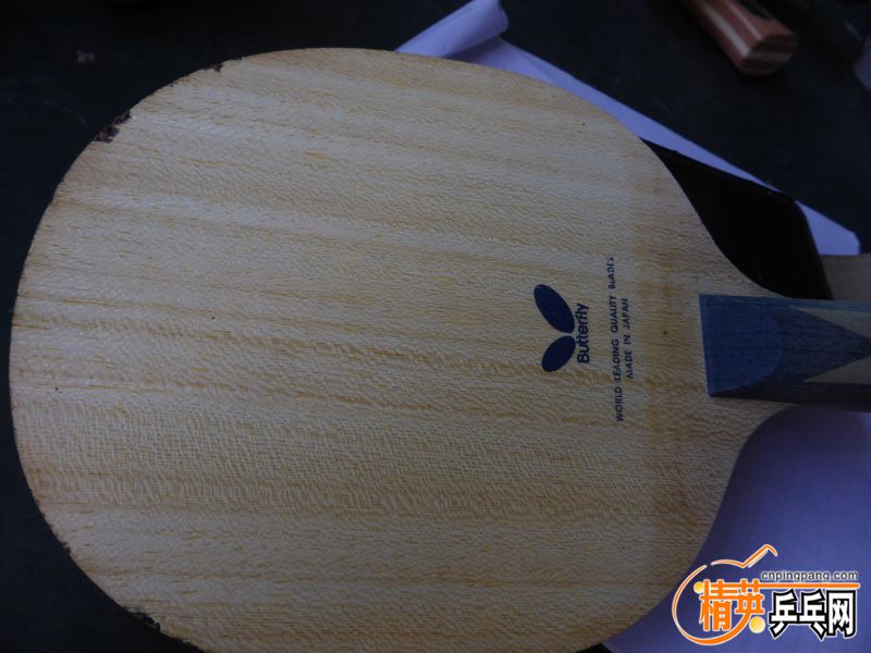 P1040457 (800x600) (2).jpg