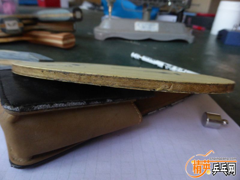 P1040461 (800x600) (2).jpg