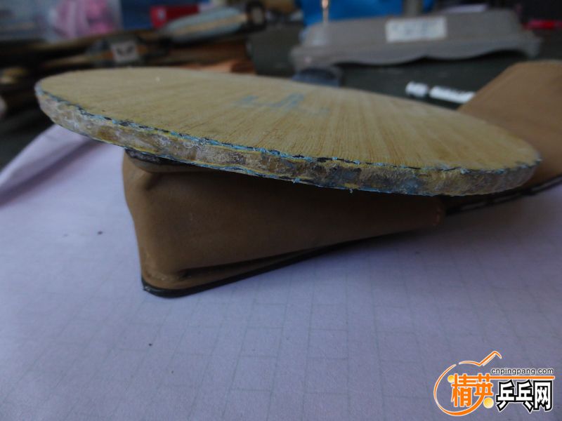 P1040466 (800x600) (2).jpg