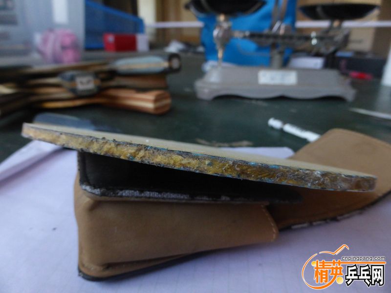 P1040467 (800x600) (2).jpg