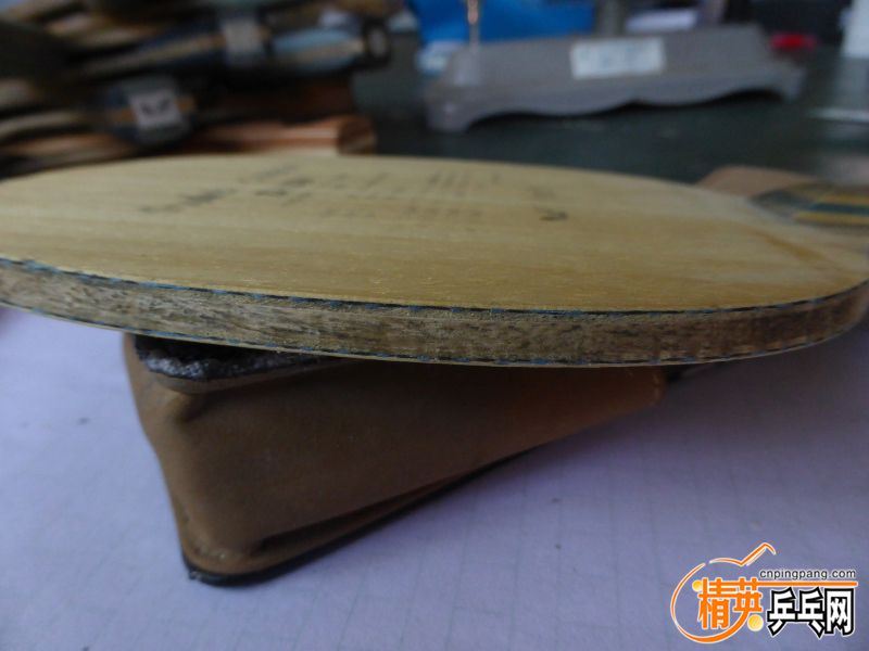 P1040492 (800x600) (2).jpg