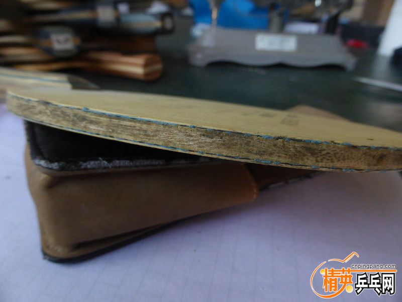 P1040494 (800x600) (2).jpg