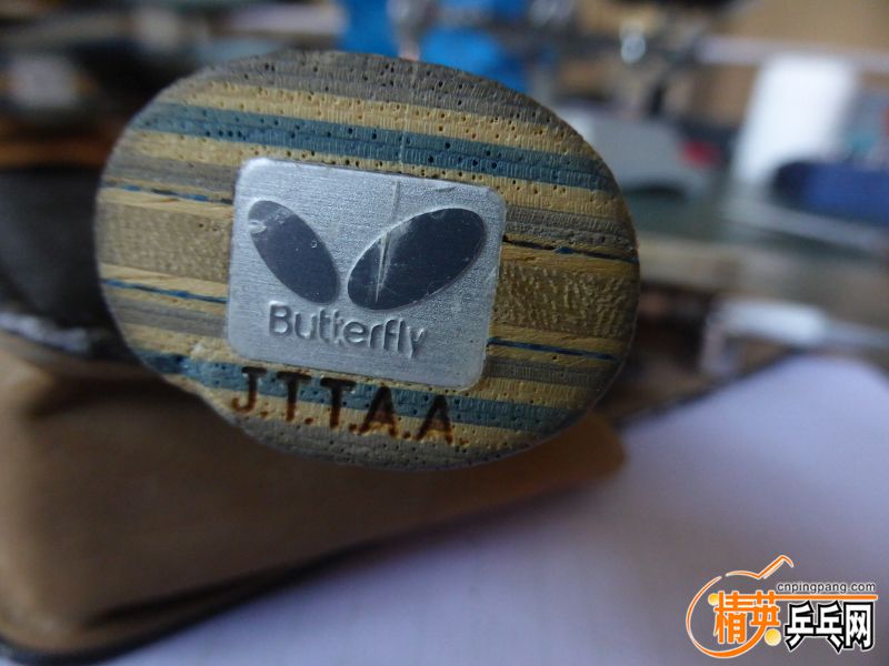 P1040495 (800x600) (2).jpg