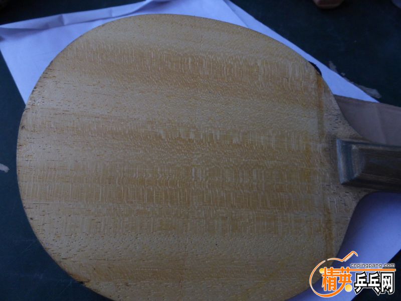 P1040506 (800x600) (2).jpg