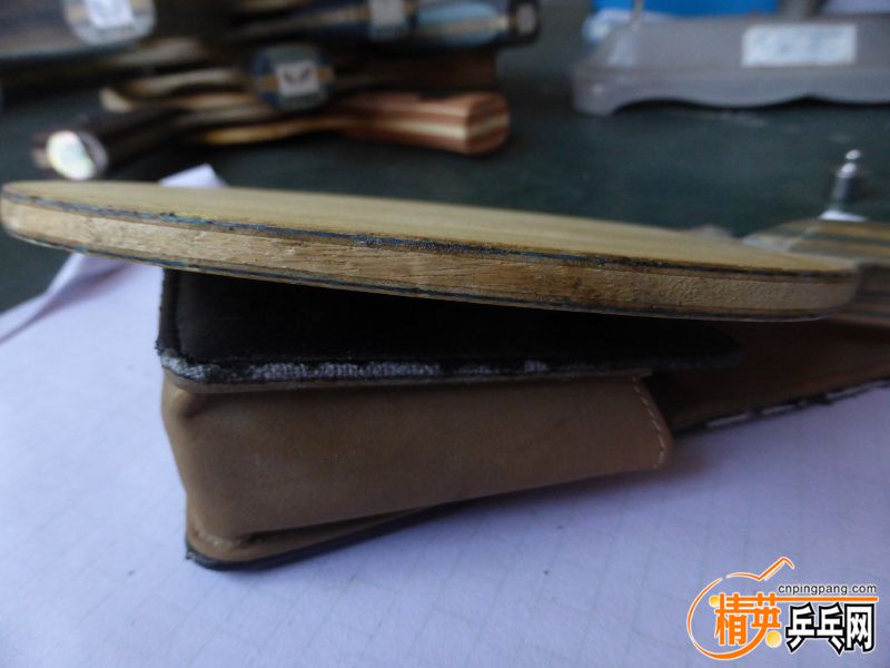 P1040508 (800x600) (2).jpg