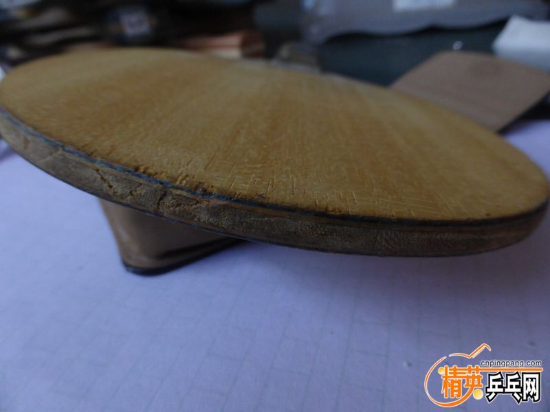 P1040509 (800x600) (2).jpg