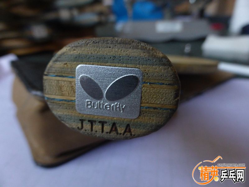 P1040511 (800x600) (2).jpg