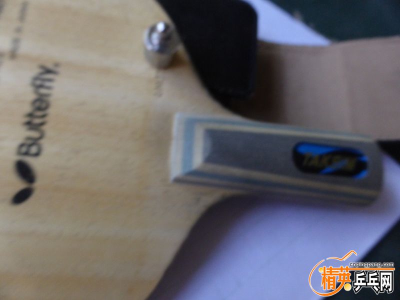 P1040513 (800x600) (2).jpg