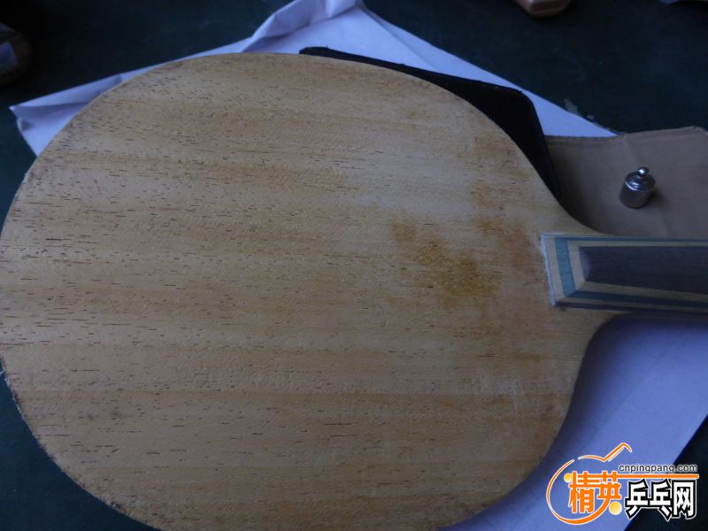 P1040514 (800x600) (2).jpg