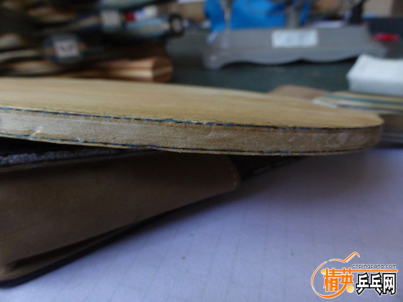 P1040516 (800x600) (2).jpg