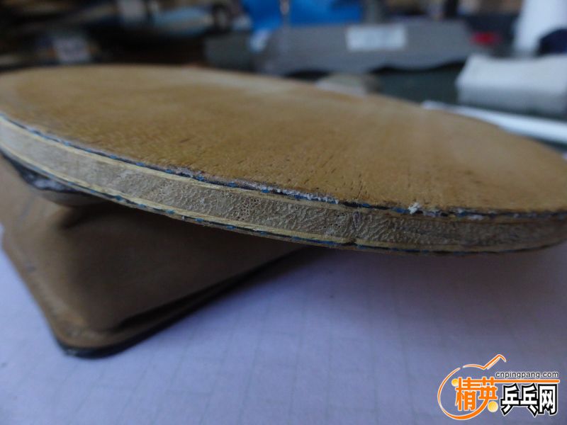 P1040517 (800x600) (2).jpg